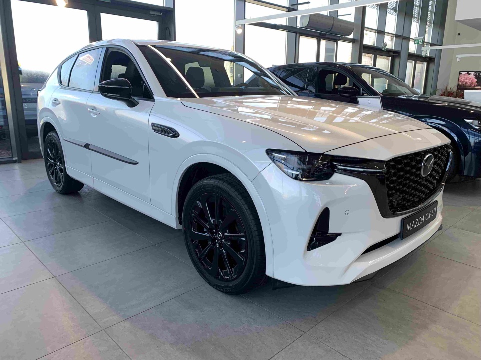 CX-60.Z13.1 (1)