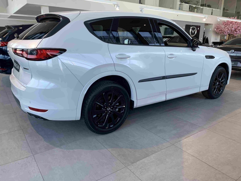 CX-60.Z13.2 (1)